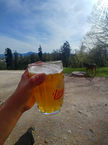 Cankarjev Vrh 1, 1000 Ljubljana