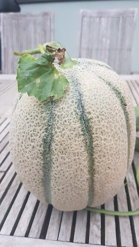 Opinii despre Kmetija Avšič, EKO zelenjava, sadje in sadike în Ljubljana - Gastronomija in gostinstvo