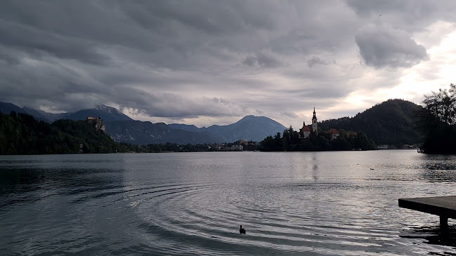 Kidričeva cesta 10 b, 4260 Bled