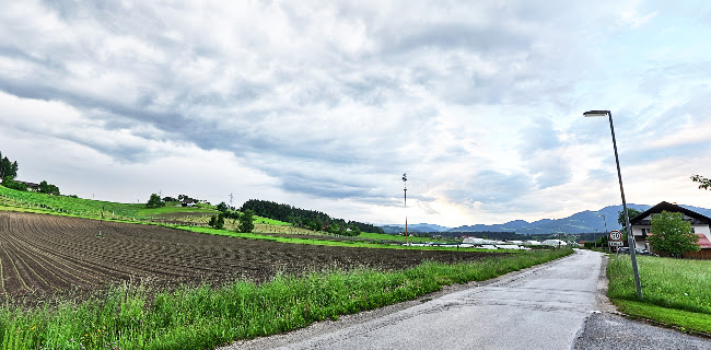 Opinii despre Gostilna Kovač, Plešivčnik Jožica s.p. în Podgorje pri Slovenj Gradcu - Gastronomija in gostinstvo