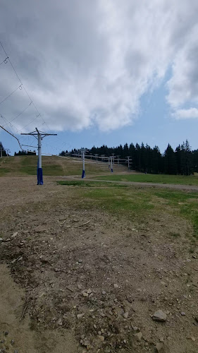 Comentarii opinii despre Hribovska restavracija Mašinžaga