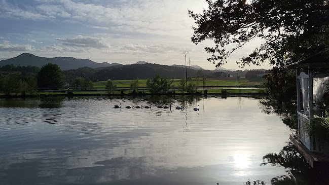 Opinii despre Rajski otok în Šentjur - Gastronomija in gostinstvo