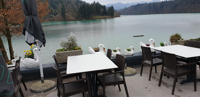 Comentarii opinii despre Gostišče Jezero