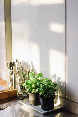 Idealist - Gastronomija in gostinstvo