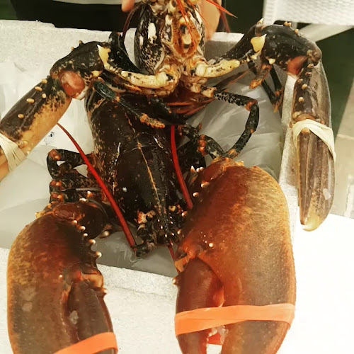 Opinii despre Gostišče "Verdi" Ilić Radomir s.p. în Piran - Gastronomija in gostinstvo