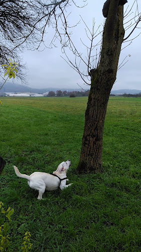 1260 Ljubljana - Polje