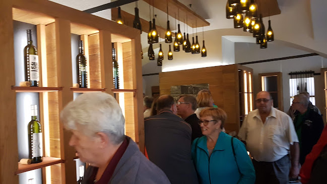 Comentarii opinii despre Enoteka Ljutomer, Vinopolis d.o.o.