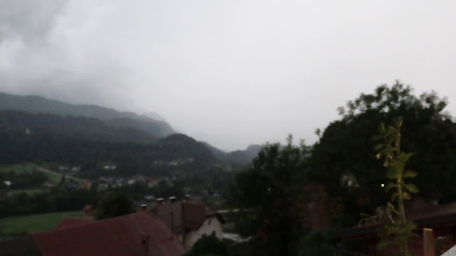 Comentarii opinii despre Gostilna Avguštin