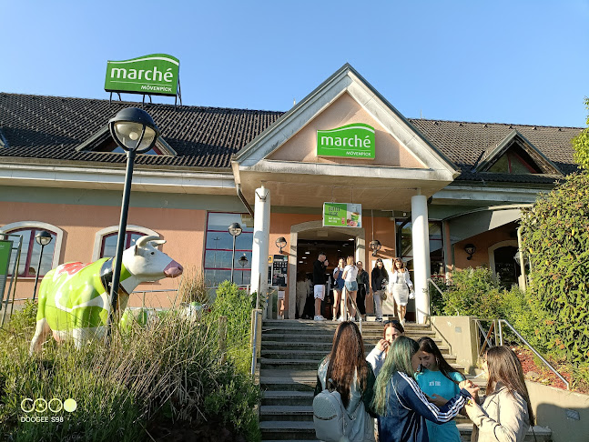 Marche Gostinstvo D.O.O. - Logatec