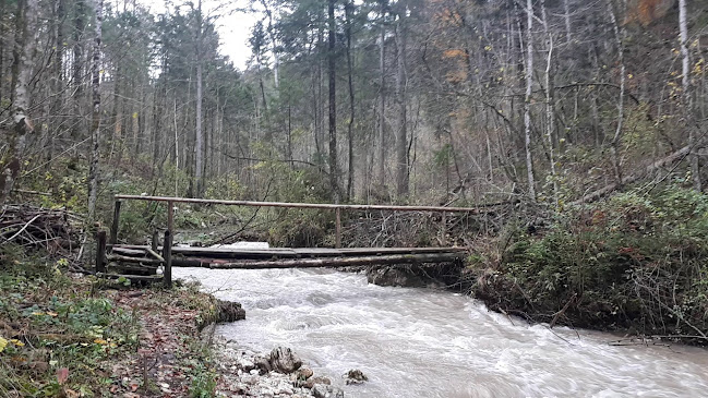 Velika planina BAR/ BUFFET