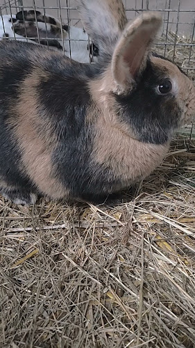 Yagababa CafeLougeBar