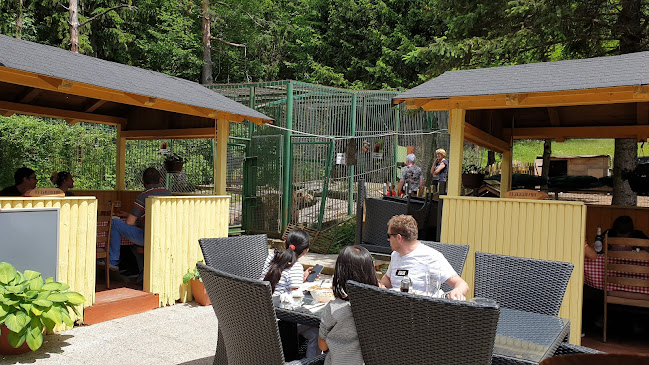 Comentarii opinii despre GOSTILNA LOVSKI DOM STOL