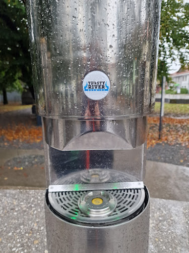 Fontana piva Zeleno zlato - Žalec