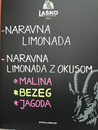 Gimnazijska cesta 22, 1420 Trbovlje