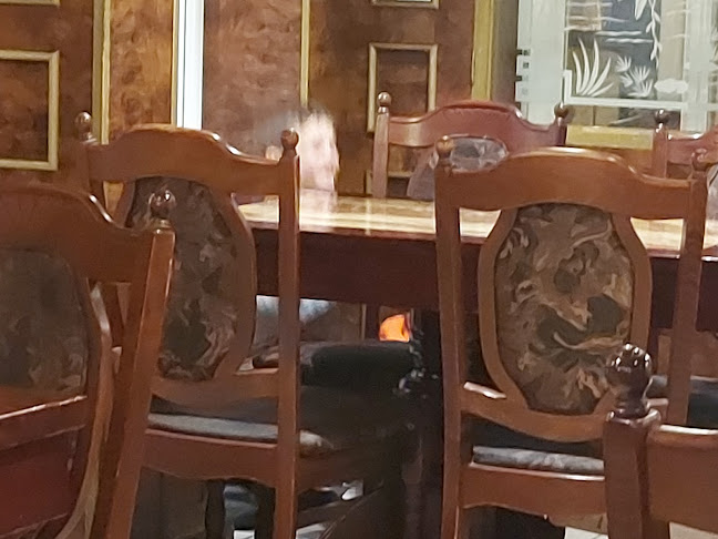 Kitajska Restavracija Azija - Gastronomija in gostinstvo