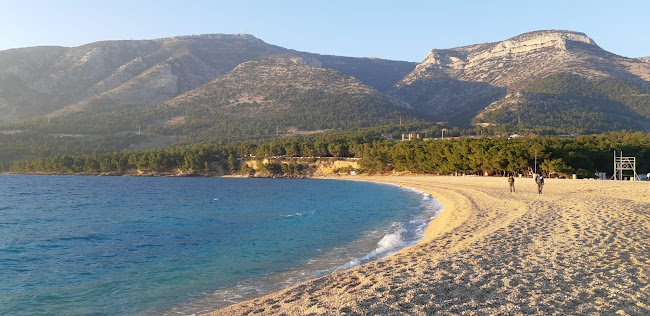 Comentarii opinii despre Bar''Bistro"Vita Renata Šuster