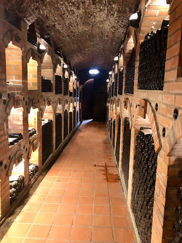 Dom penine, Radgonske gorice d.o.o. - Gornja Radgona