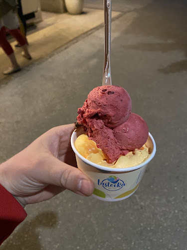 Lastovka pri SERŠ-u - Maribor