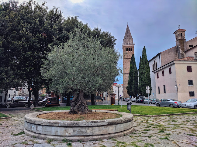 Okrepčevalnica pri Mariji Robert Kuzelj s.p. - Gastronomija in gostinstvo
