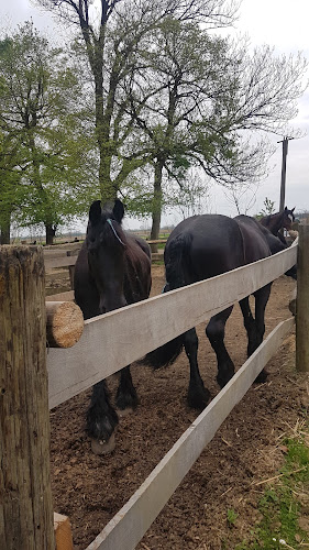 Opinii despre Kavarna DVOREC RAKIČAN în Murska Sobota - Gastronomija in gostinstvo