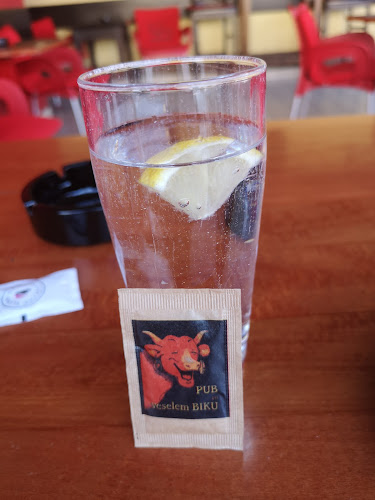 PUB PRI VESELEM BIKU, - Gastronomija in gostinstvo