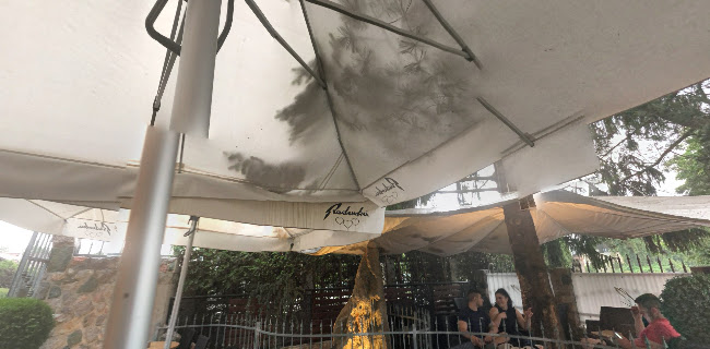 Comentarii opinii despre Zajček bar