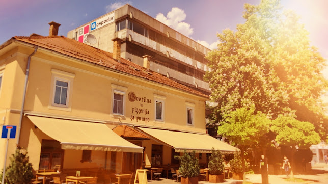 Lir, poslovne storitve in trgovina, d.o.o. - Ljubljana