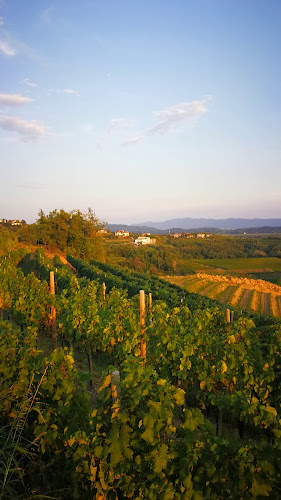 Plešivo, 38 - Goriška Brda, Slovenija, 5212 Dobrovo