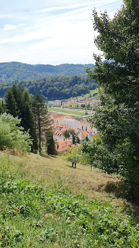 Restavracija Pavus - Grad Laško - The castle of Laško - Laško