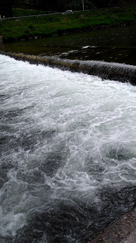 Opinii despre Sladki Toni în Celje - Gastronomija in gostinstvo