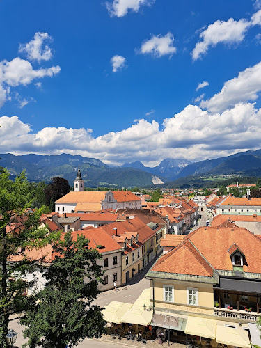 Kavarna Veronika - Gastronomija in gostinstvo