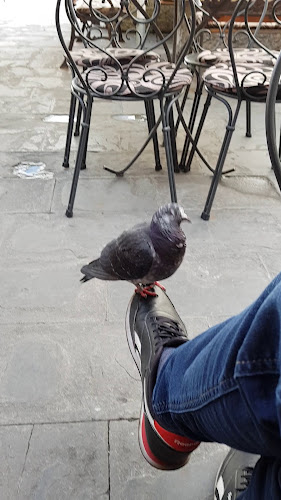 Prešernovo nabrežje 4, 6330 Piran