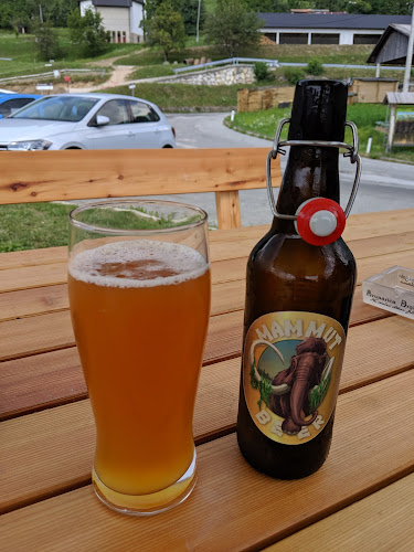 Brunarica Dražgoše - Železniki