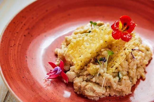 Cool House Vič - Gastronomija in gostinstvo