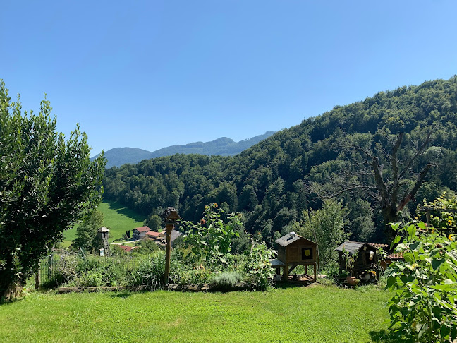 Izletniška kmetija Ančka - Zreče