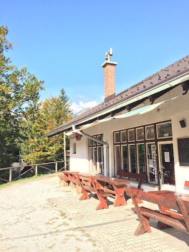 Opinii despre BAR "ŽIČNICA" , Uroš Tkalec S.P. în Jesenice - Gastronomija in gostinstvo