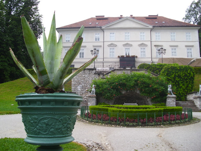 Caffe Bienale - Ljubljana