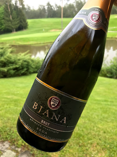 Volčji Potok 43g, 1235 Radomlje