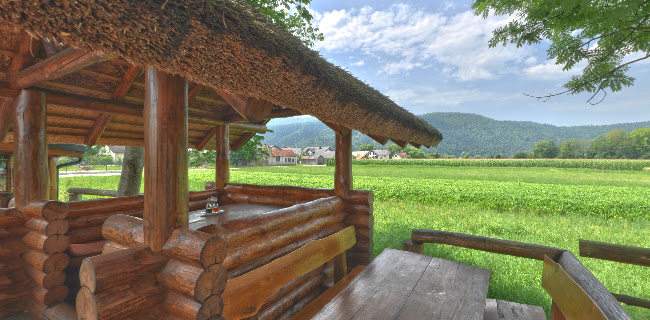 Opinii despre Gostilna in pizzerija Mars în Ig - Gastronomija in gostinstvo