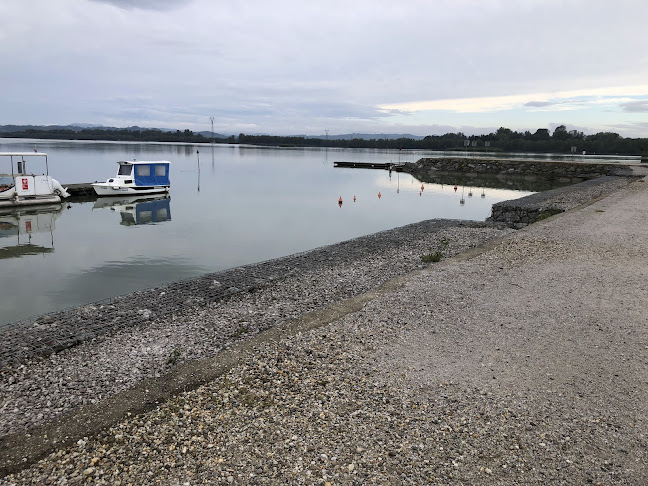 Ptujsko morje - Gastronomija in gostinstvo