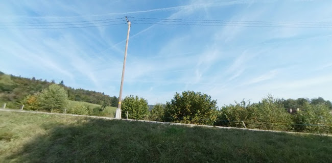 Mesec And Co trgovina, turizem, gostinstvo d.o.o. Zaplana 24, Vrhnika