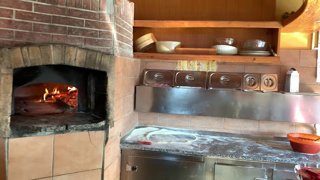 Medved gostinsko in trgovsko podjetje d.o.o.