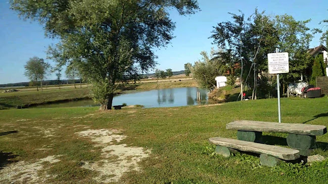 Opinii despre Oaza GRILL în Moravske Toplice - Gastronomija in gostinstvo