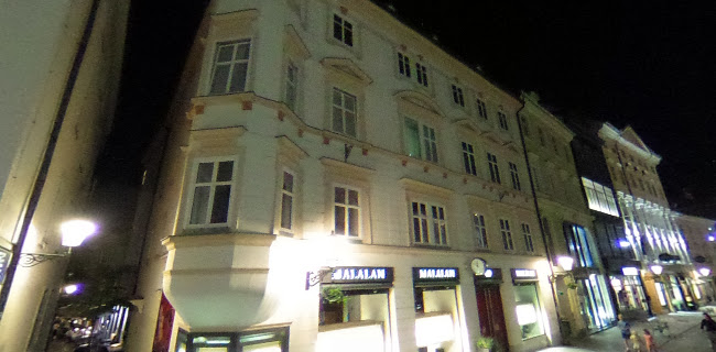 Vizija Gostinstvo d.o.o. - Ljubljana