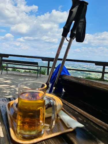 Gostilna Ledinek - Gastronomija in gostinstvo