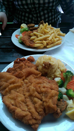 Comentarii opinii despre Gostilna pri Kranjcu Franci Tomažič s.p.