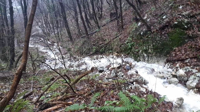 Restavracija Celjska Koča