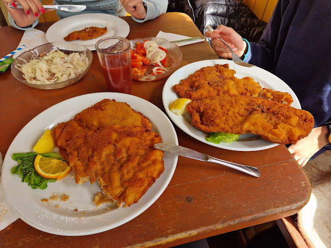 Opinii despre GOSTILNA LOVSKI DOM STOL în Žirovnica - Gastronomija in gostinstvo