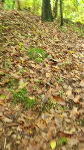 Mini Cafe Golf - Ljubljana