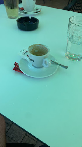 Bar ribnik, Rado Antolič s.p. - Gastronomija in gostinstvo